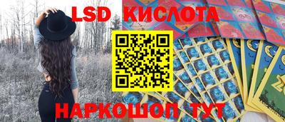 винт Краснодар
