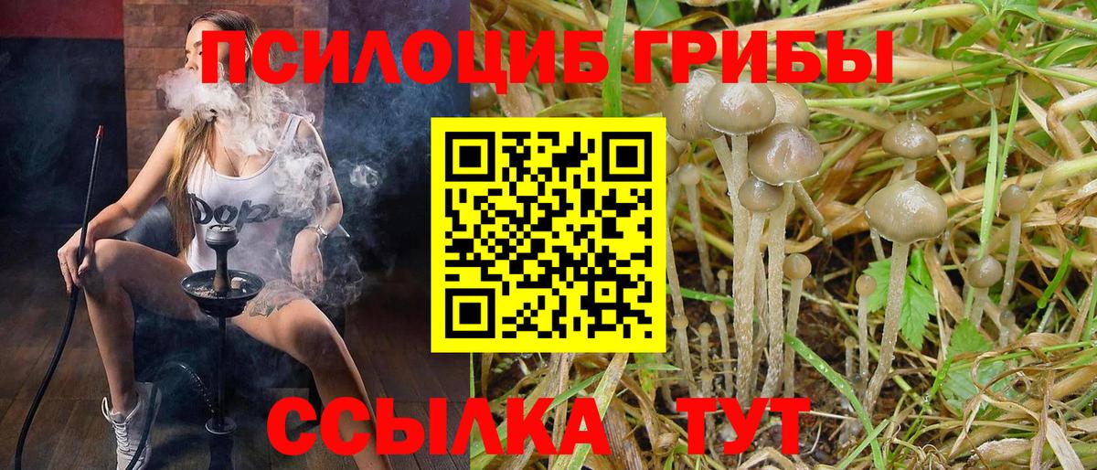 Галлюциногенные грибы Psilocybe  Вход с VPN  закладка  Кимры 
